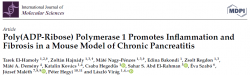 PARP1 in Chronic Pancreatitis